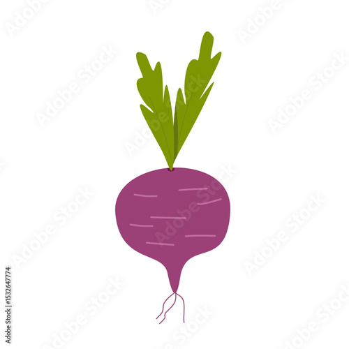 Purple beetroot vegetable vector. Healthy foot flat design 