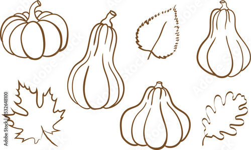 autumn harvest outline illustrations vector set of fall pumpkins and leaves simple seasonal graphic elements for decorative designs