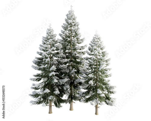 christmas tree isolated on white