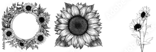 A contemporary yellow sunflower is depicted, with its silhouette forming a text frame isolated on a white background