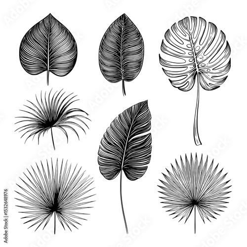 An abstract set of jungle plants, including modern tropic leaves, flower silhouettes, monstera leaves, and palm fronds, creates an exotic floral design