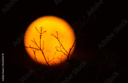Full Red Moon