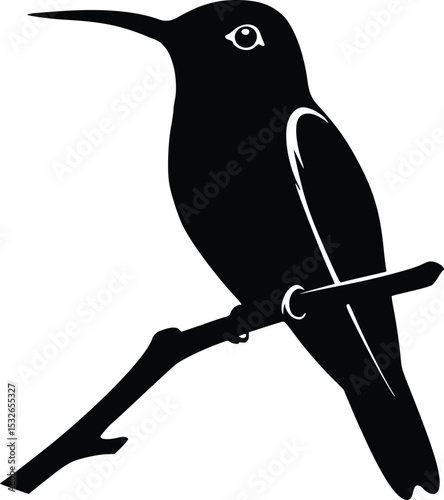 Silhouette illustration of a hummingbird sitting gracefully on a branch, showcasing nature, elegance, and wildlife
