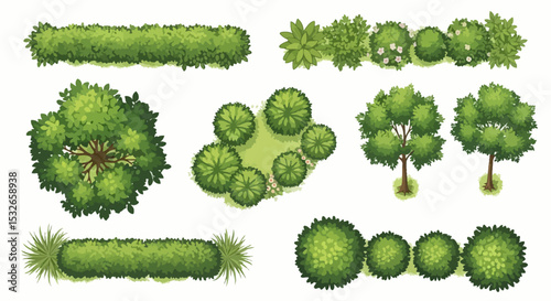 Top View Collection of Lush Green Trees, Shrubs, and Bushes for Landscape Design