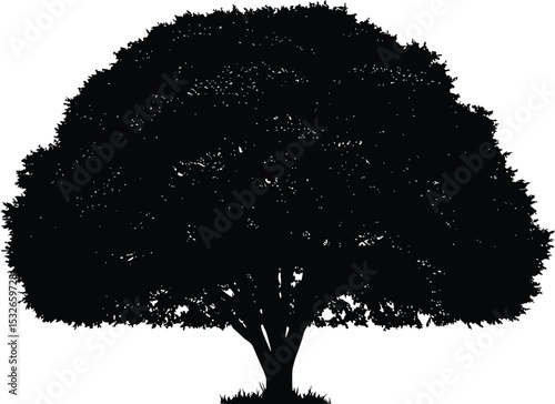 Minimalist tree silhouette with symmetrical canopy and sturdy trunk representing nature, growth, and stability

