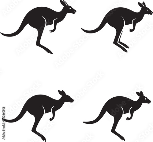 Set of kangaroo vector illustration on white background 