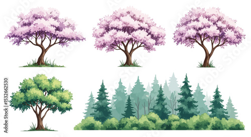Collection of Pink Blossom Trees, Green Trees, and Evergreen Forest Illustrations