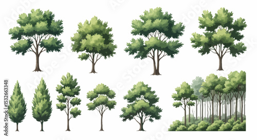 Collection of Illustrated Trees Various Species and Styles for Design Projects