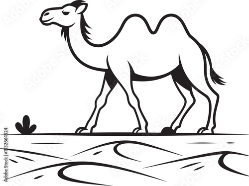 camel on the beach