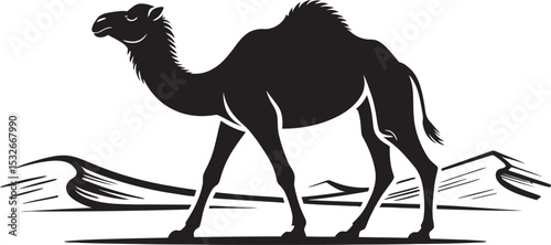 camel on white background