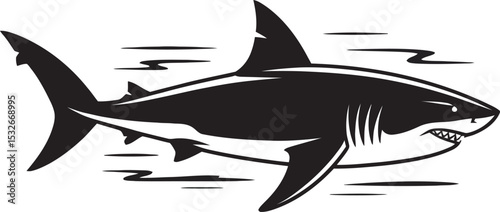 shark vector illustration