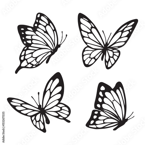 set of vector butterflies