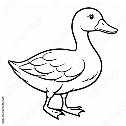 A vector of a duck outline design Art & Illustration
