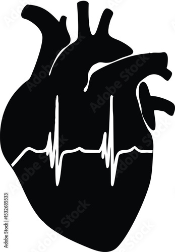 Human Heart Illustration with Electrocardiogram Pattern in Black and White Medical Symbolism