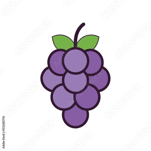 Grape With Vector Outline Design