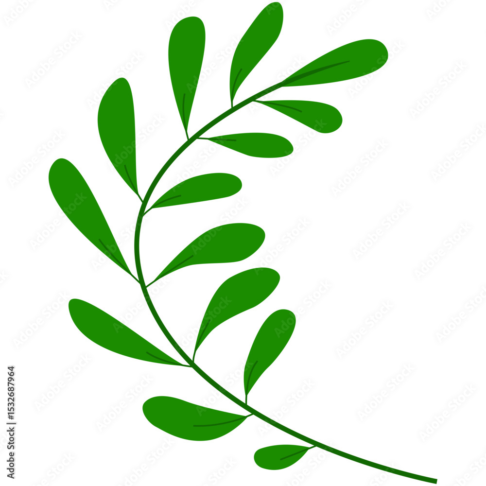 Naklejka premium Green Leaves Vector