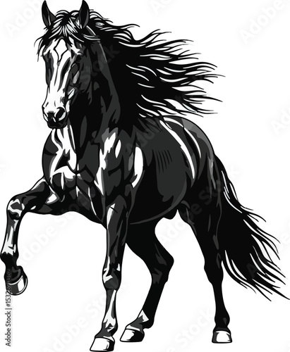 Majestic Black Stallion Horse Powerful Pose Gray Scale Art Graphic white