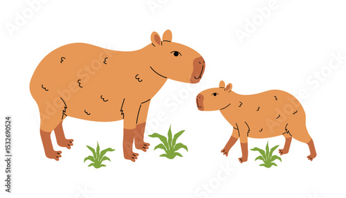 Cute capybara mother with baby standing and looking at each other, isolated on white in cartoon flat style.