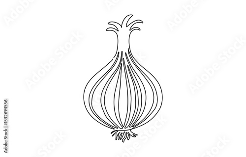 Two bulbs of onions. Harvest. Continuous line drawing. Vector illustration, Continuous one line drawing of onion, freshness organic bulb onion for harvesting logo identity. Fresh common onion. 