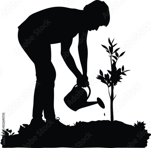 Silhouette of Person Watering a Newly Planted Tree Sapling in a Garden Area