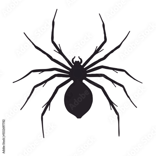 Flat Spider with Thin Legs, Creepy Halloween Insect 