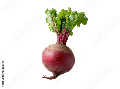 Fresh beetroot with green leaves isolated on black background, Isolated On Transparent Background