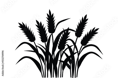 Rice plants silhouette vector illustration