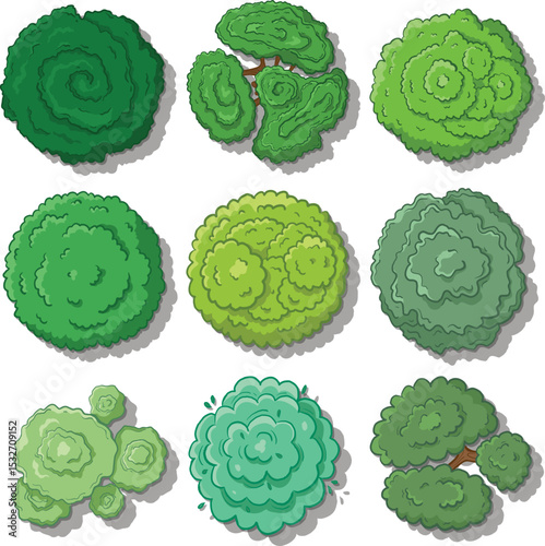  Collection of stylized trees from a top-down perspective 
