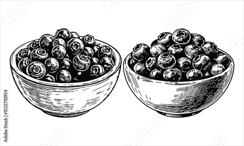 Two bowls filled with fresh blueberries isolated on white background