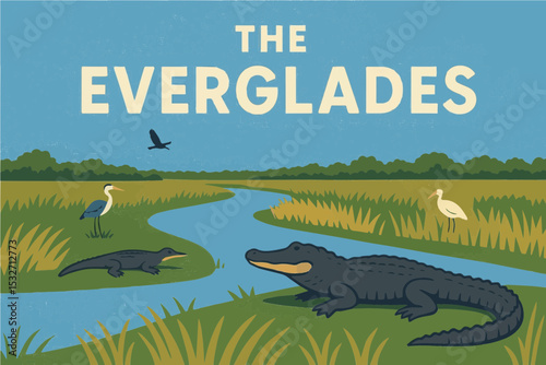Everglades Wildlife Scene

