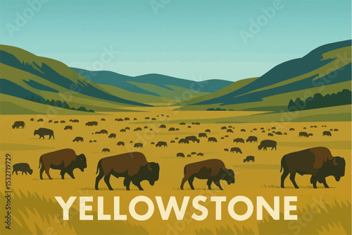 Bison in Lamar Valley

