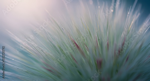 Grass with Water Droplets