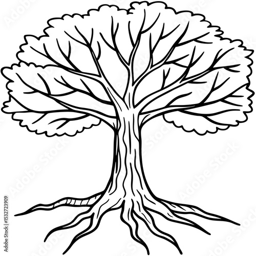 Realistic line drawing of elm tree trunk and root base