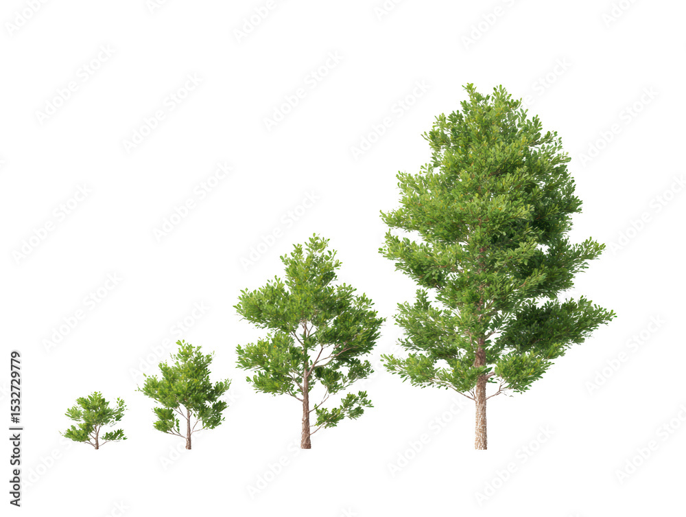 Obraz premium An inspiring image of a growing tree, representing growth, progress, and development. Capture the stages of life, conveying the idea of growth and life.