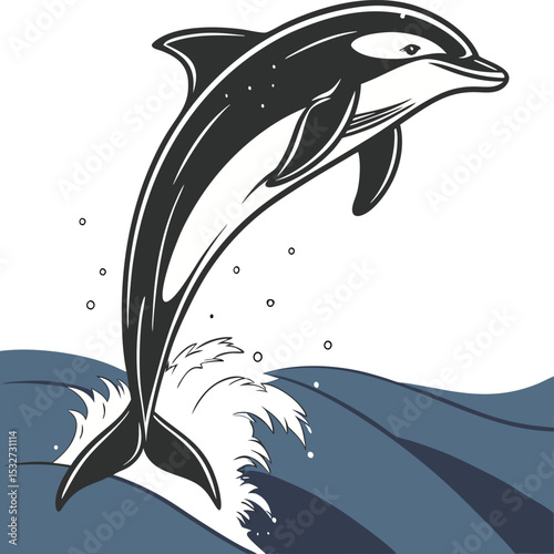 Dolphin 23