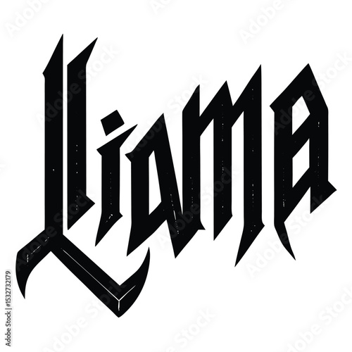 liama vector
