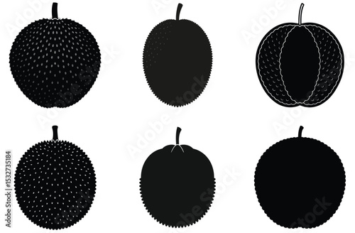 Jackfruit Illustrations Silhouette Set of Whole and Halved Jackfruit
