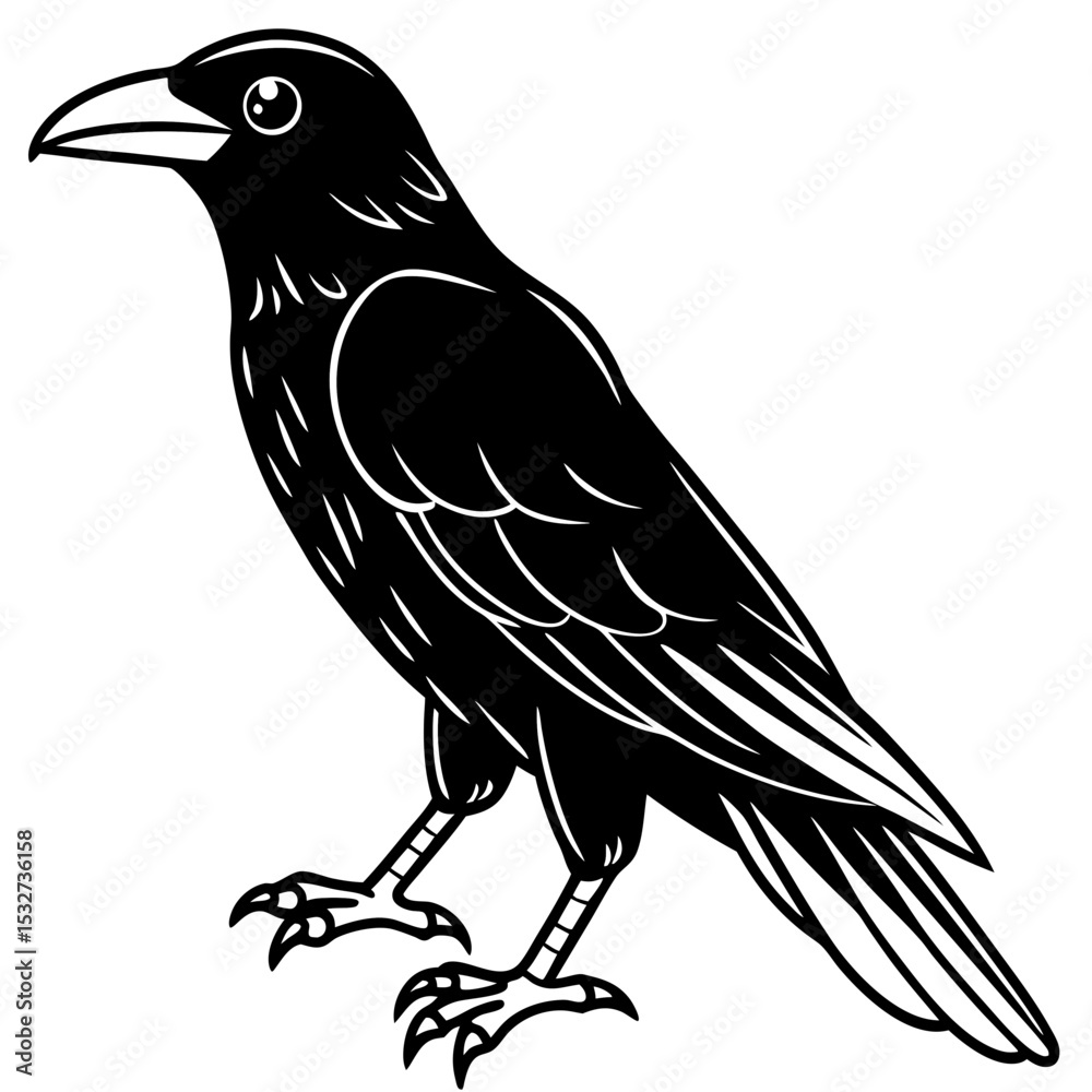 Fototapeta premium Raven Ink line art vector
