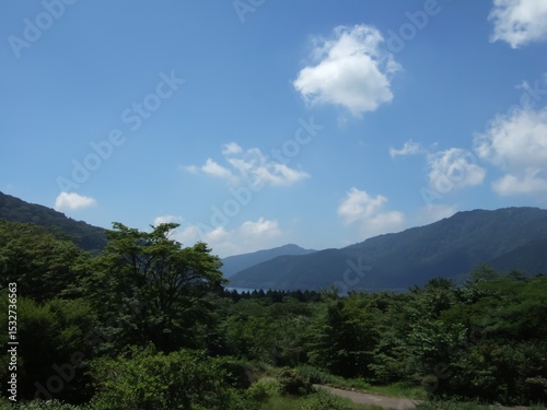 Wallpaper Mural 箱根の芦ノ湖界隈の自然風景。 Torontodigital.ca