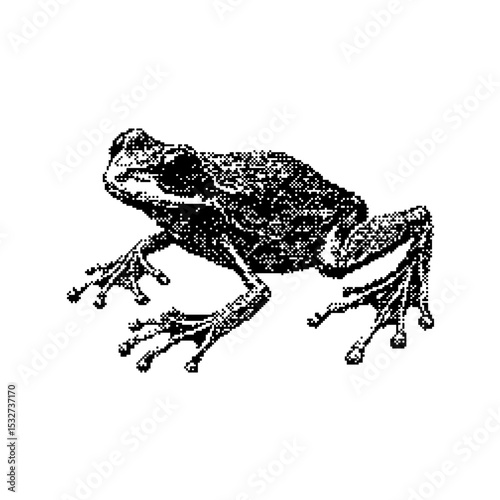 Toad Pixel art vector. The pixels are scattered, dissolve. Vector monochrome style. Abstract random squares, background. Template. Monochrome style. vector de illustration en pixel pixel