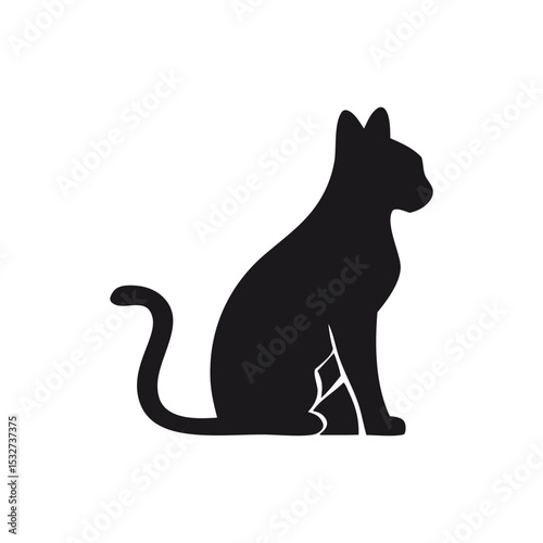 black cat on white background