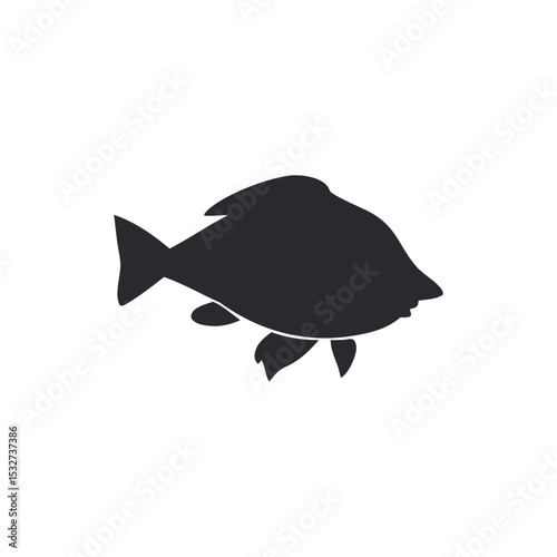 vector illustration of fish