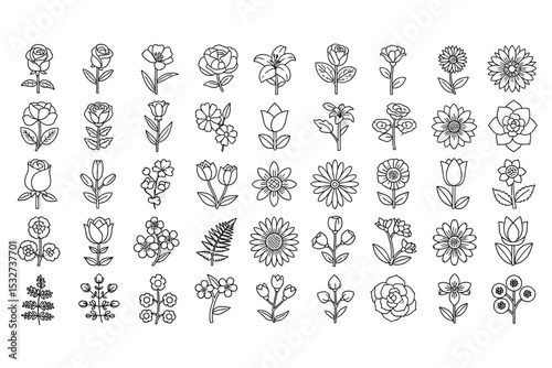 Flower Outline Collection, Floral Design Elements, Minimalist Art