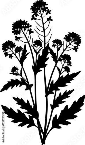 Elegant Silhouette of Wildflowers Botanical Line Art Print
