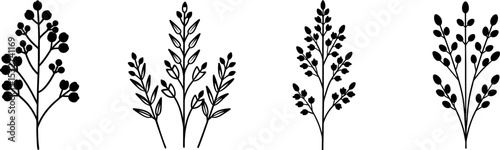 Elegant Botanical Illustrations Simple Line Art of Four Unique Floral Branches for Design Projects