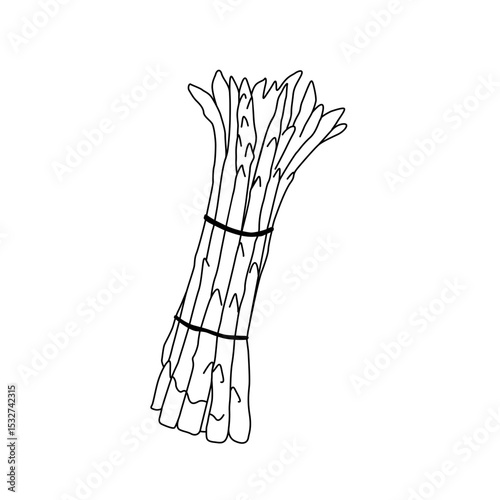 logo asparagus