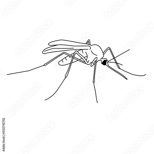 one line mosquito