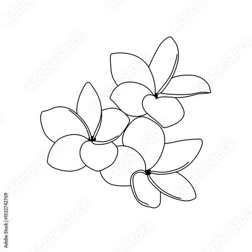 logo plumeria