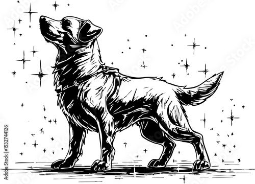 Majestic dog standing proudly outdoor setting illustrative artwork artistic environment elevated view animal inspiration