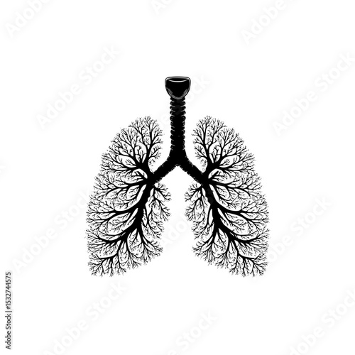 Detailed black and white vector illustration of human lungs with bronchial tree structure